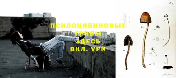 Альфа ПВП Алексин