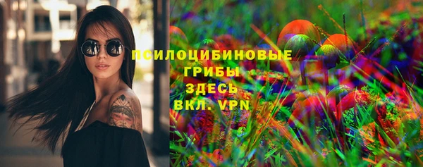 шишки Алзамай