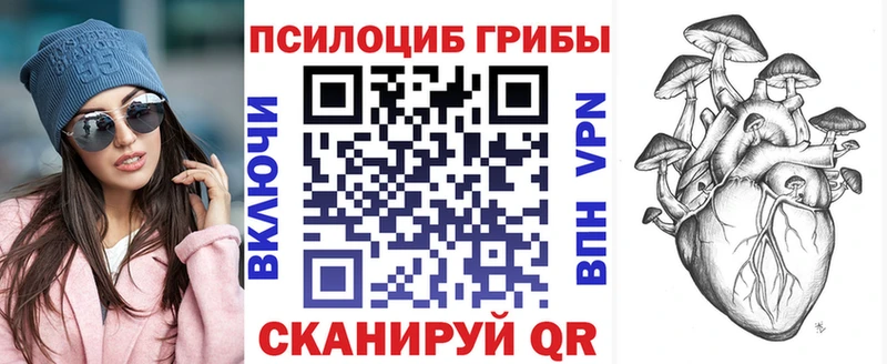 OMG вход  Ивангород  darknet Telegram  Галлюциногенные грибы MAGIC MUSHROOMS 